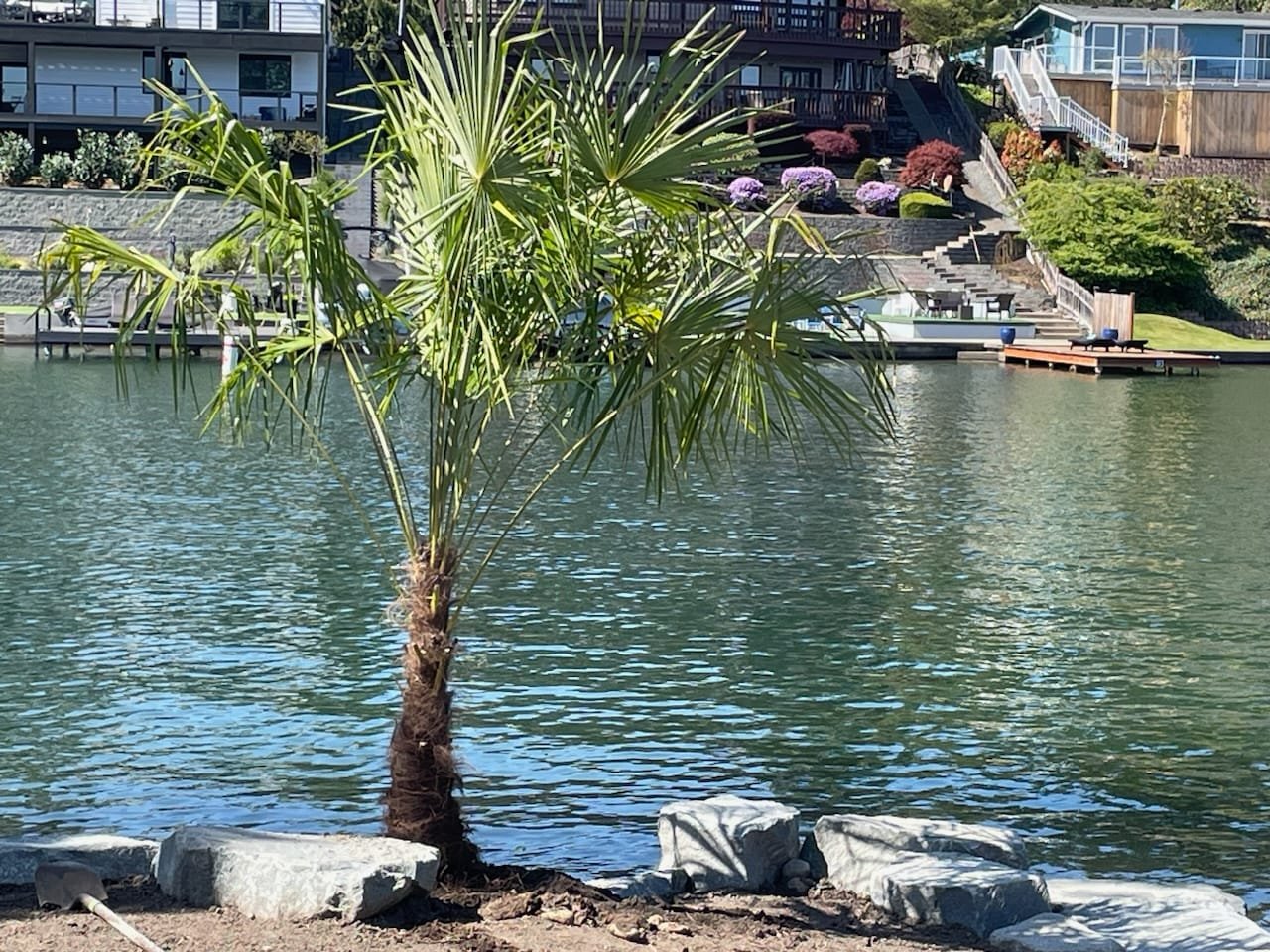 Lakefront Waterscape